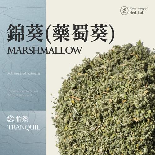 Marshmallow Althaea officinal 10g|Recurrence Herb Lab
