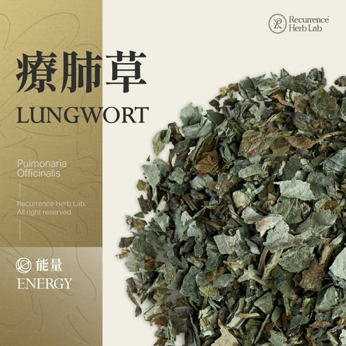 Lungwort Pulmonaria Officinalis 10g|Recurrence Herb Lab