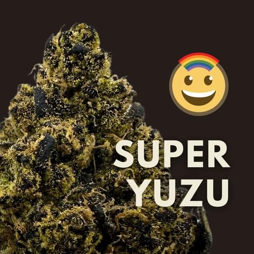Super Yuzu|日本四國柚