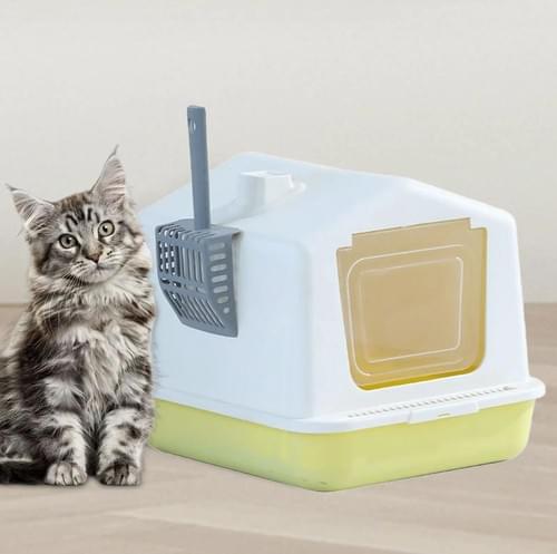 Cat Litter Box