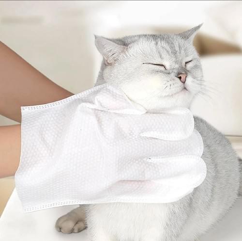 The Pet Cleaning Gloves