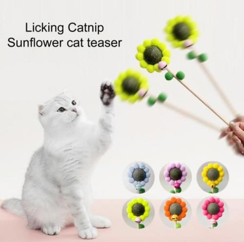 catnip cat toy