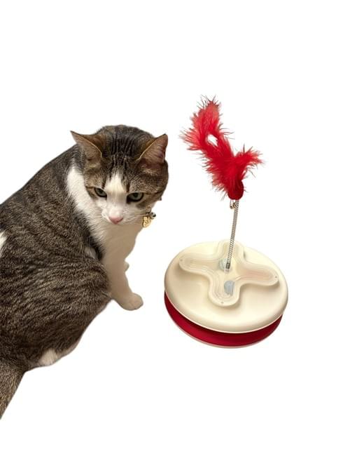 Cat Feather Toy