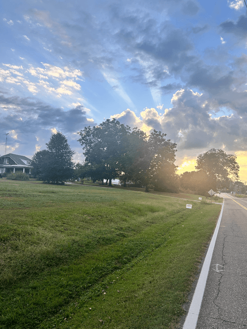 Neighborhood Clean-Up Initiatives
