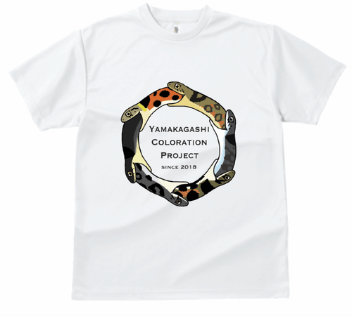 ヤマカガシTシャツ（ウロボロス）