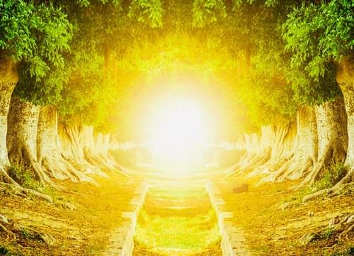 Women's Radiant Power: Feminine Mastery & Mystery