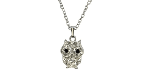 Owl Pendant Necklace with Crystals, Silver Chain-Item#318B