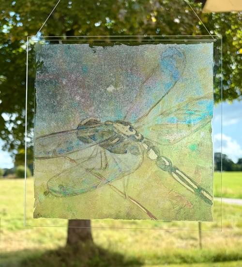 Dragonfly Warrior