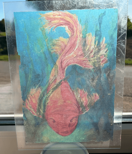 Koi