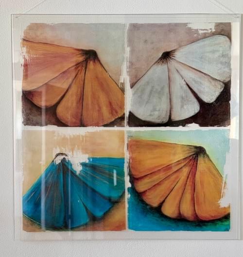 Night Butterflies