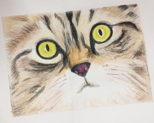 Thursday Afterschool Art - with Jenny Greig