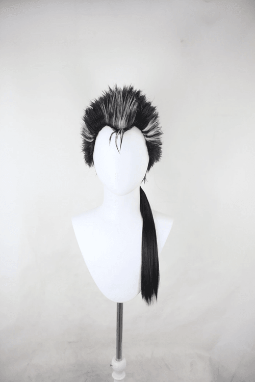 Pre-style Final Fantasy X Auron Cosplay Wig