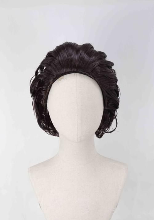 Pre-style Raphael Cosplay Wig
