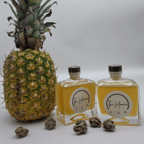 三月玖。菠蘿話梅