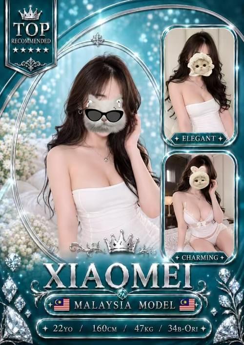 XiaoMei - Local Chinese