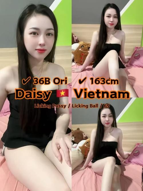 Daisy❤VietNam
