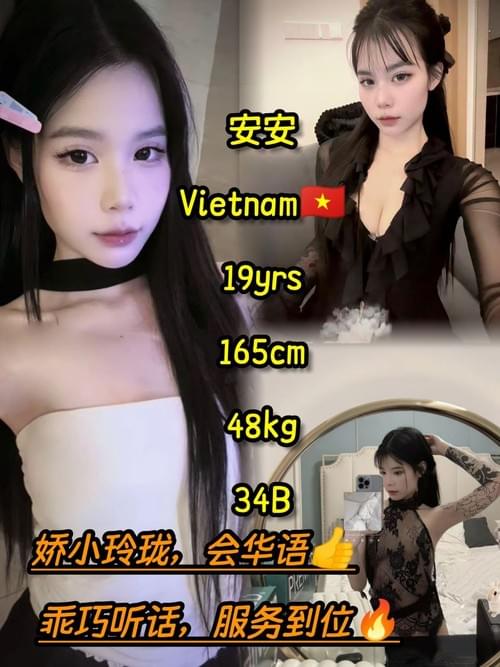 AnAn 越南 Vietnam