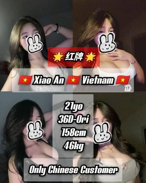 XiaoAn❤VietNam