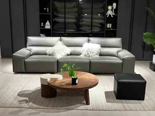 Sofa ZW-8133