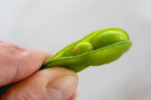 edamame