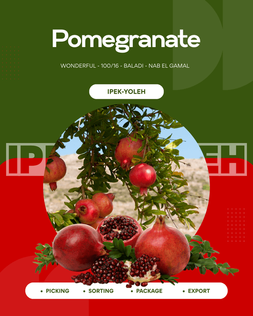 Pomegranate