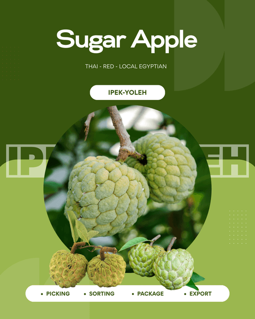 Sugar Apple