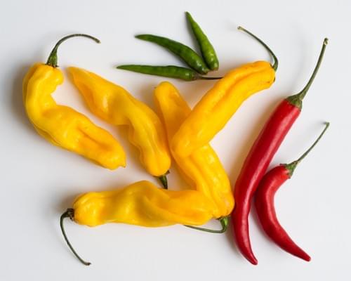 chili pepper