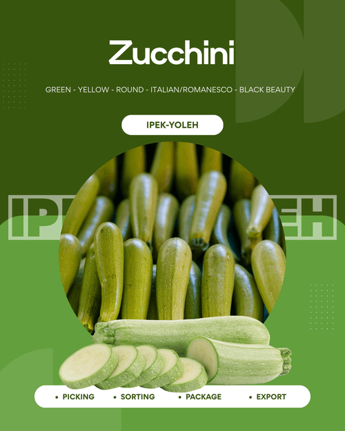 Zucchini