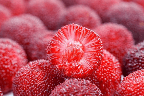Chinese bayberry