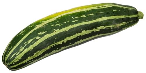 Zucchini