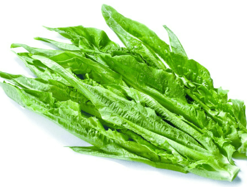 young leaf lettuce