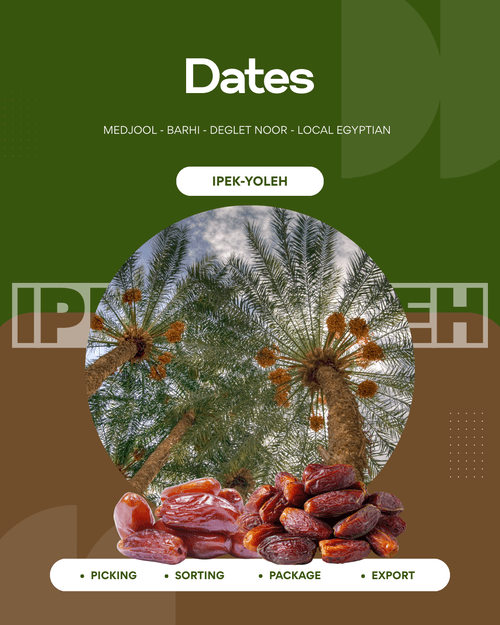 Dates