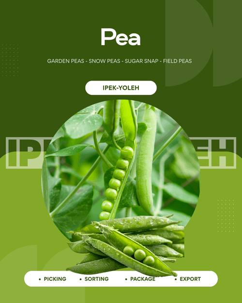 Peas