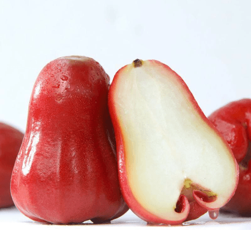 wax apple