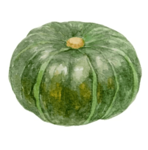 bamboo squash