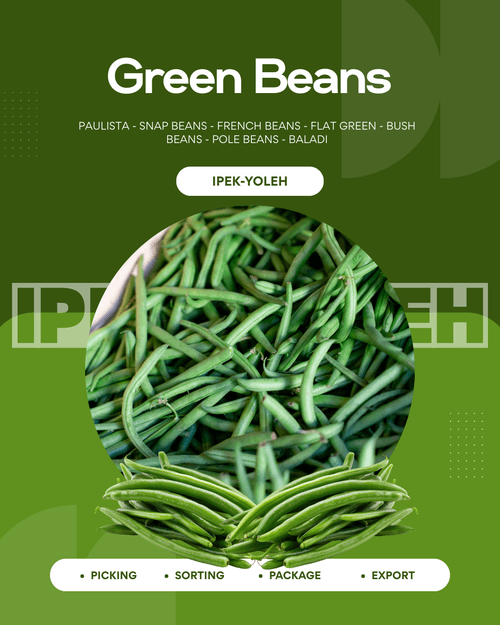 Green Beans