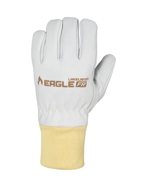 Eagle FR Wildland L1 Leather Gloves