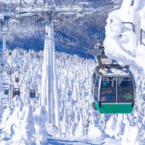 【東京樹冰五日遊】夢幻雪景|老孩子旅遊