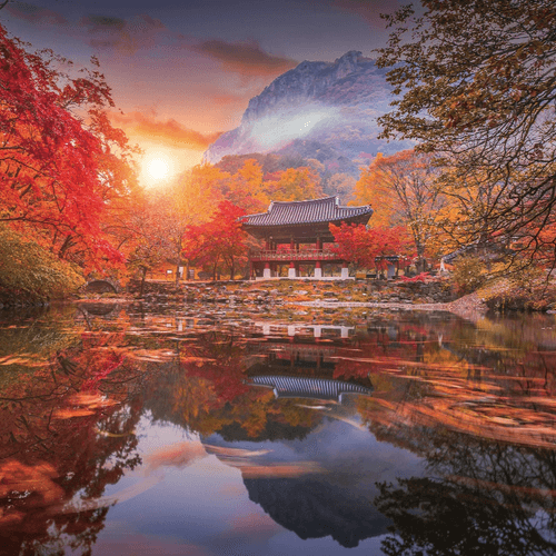 【首爾賞楓五日遊】首爾紅葉絢爛|老孩子旅遊