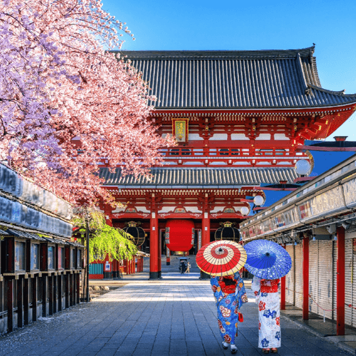 【精彩東京五日遊】東京輕遊|老孩子旅遊