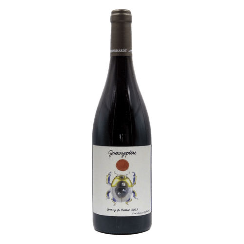 2023 Antoine Lienhardt, Coteaux Bourguignons "Gamayoptere" Rouge