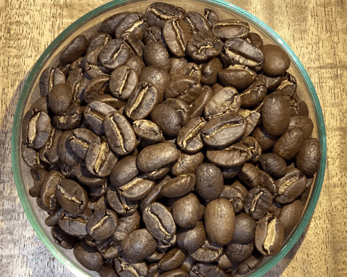 牙買加 藍山 水洗