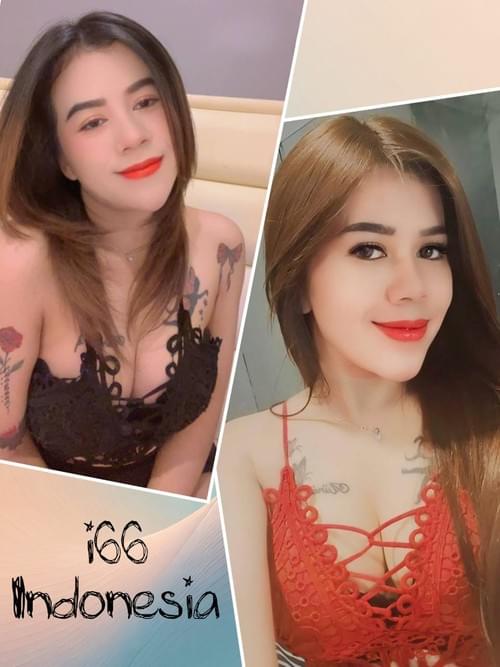 ✿i66✿