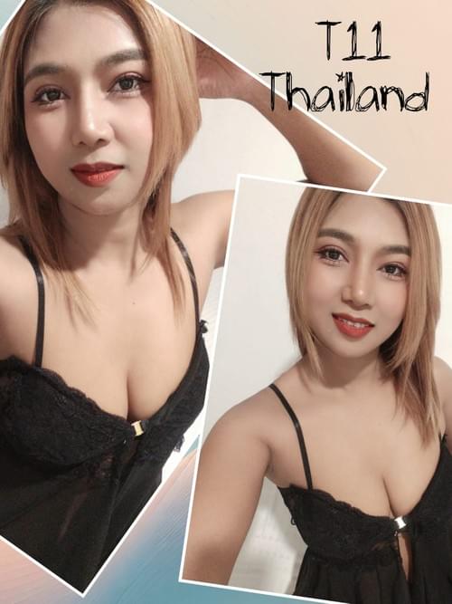 ✿T11✿