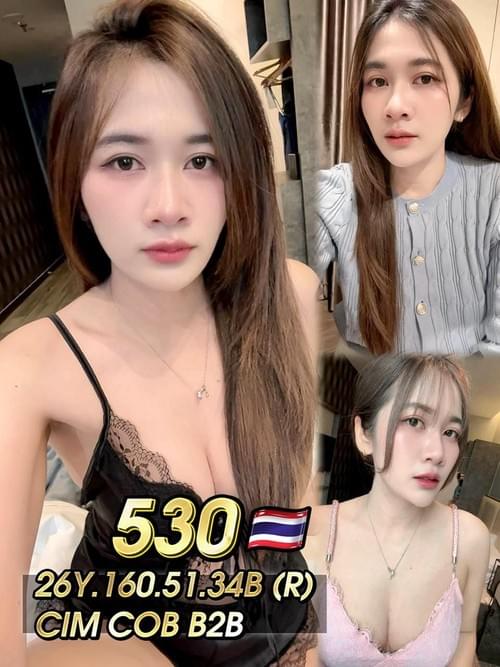 ✿530✿