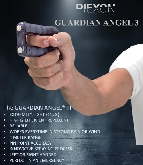 Guardian Angel 3