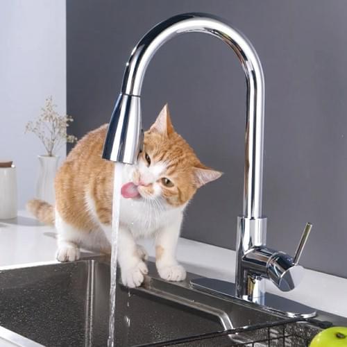 Dual-Sensor Pet Hydration & Home Kitchen Sprayhead (Retrofit) | 204AD054