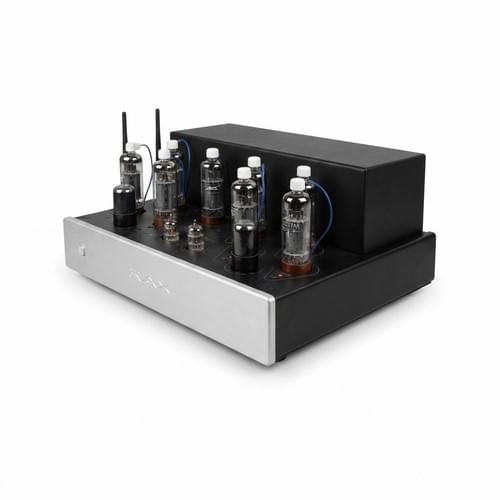華克 Ray Audio E3375 PPP 後級