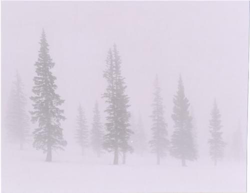Photographic Print