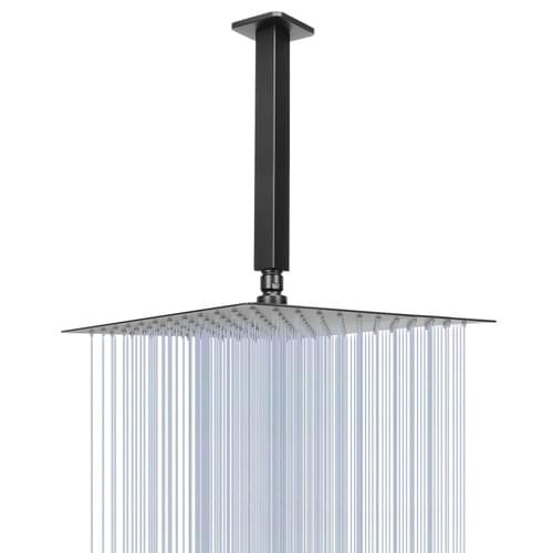 NearMoon Rain Shower Head With Shower Arm